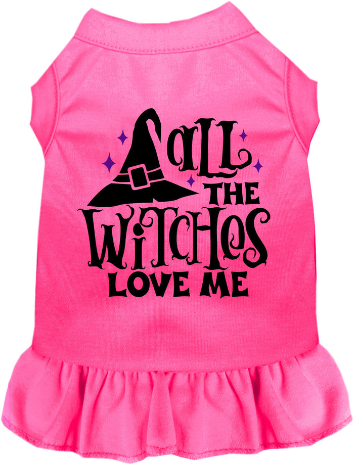All the Witches Love Me Halloween Pet Dress