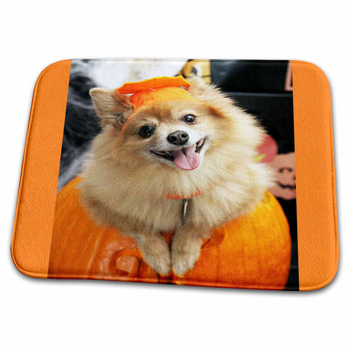 Dish Drying Mat - Halloween dog. Puppy dressed in Halloween costume. Halloween